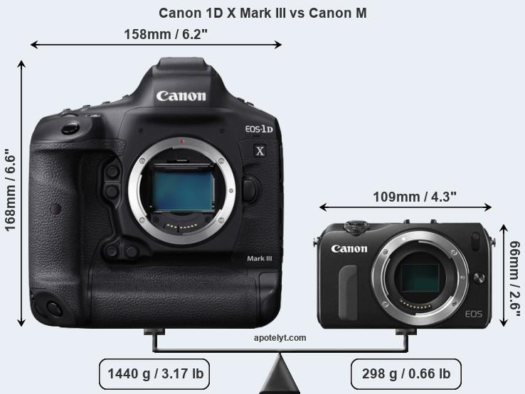 Size Canon 1D X Mark III vs Canon M