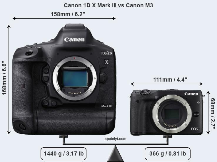 Size Canon 1D X Mark III vs Canon M3