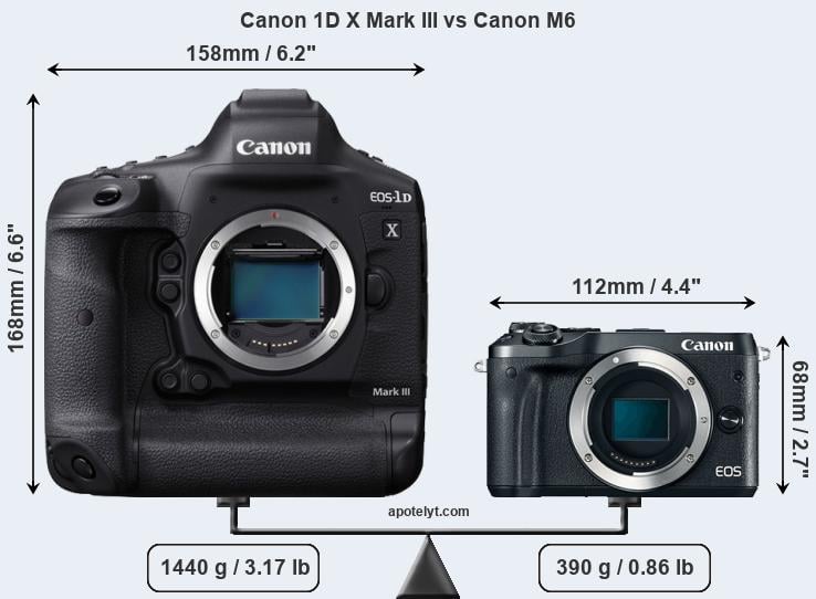 Size Canon 1D X Mark III vs Canon M6