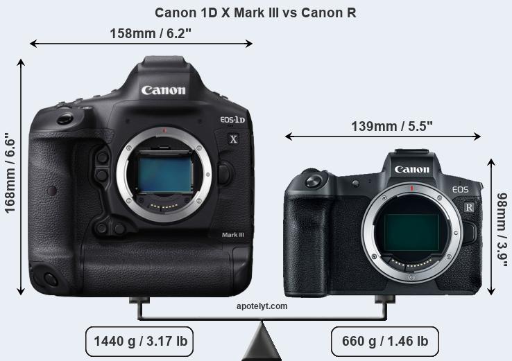 Size Canon 1D X Mark III vs Canon R