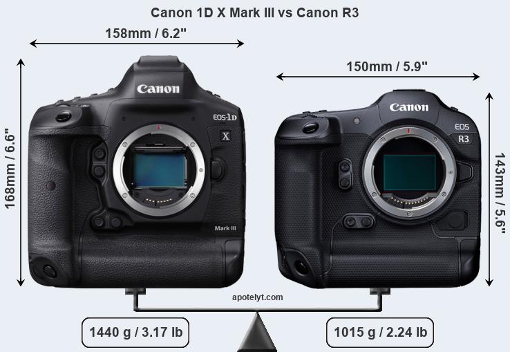 Size Canon 1D X Mark III vs Canon R3
