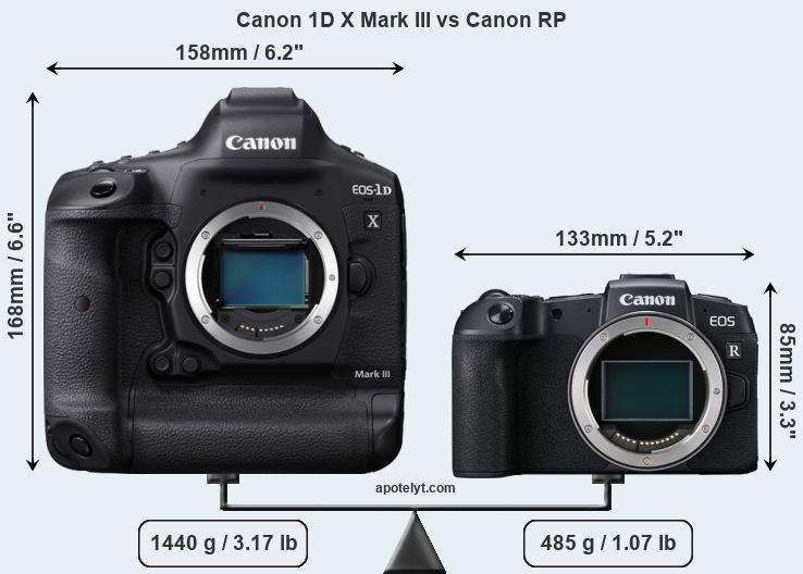 Size Canon 1D X Mark III vs Canon RP
