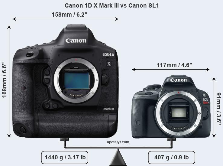 Size Canon 1D X Mark III vs Canon SL1