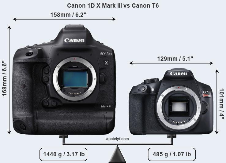 Size Canon 1D X Mark III vs Canon T6