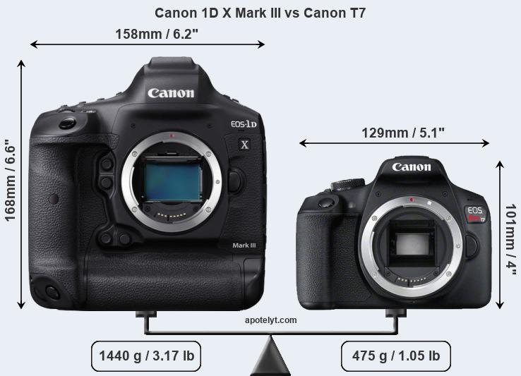 Size Canon 1D X Mark III vs Canon T7