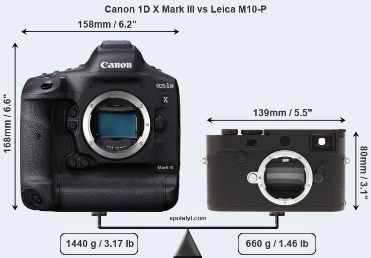 Size Canon 1D X Mark III vs Leica M10-P