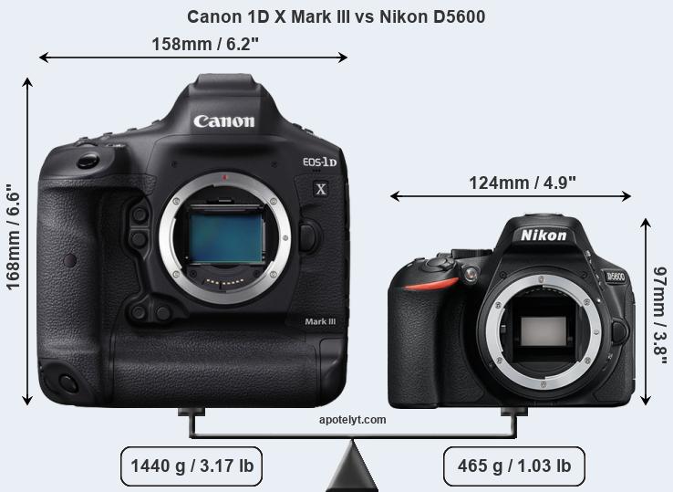 Size Canon 1D X Mark III vs Nikon D5600