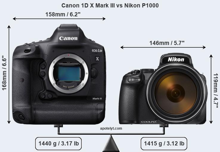 Size Canon 1D X Mark III vs Nikon P1000