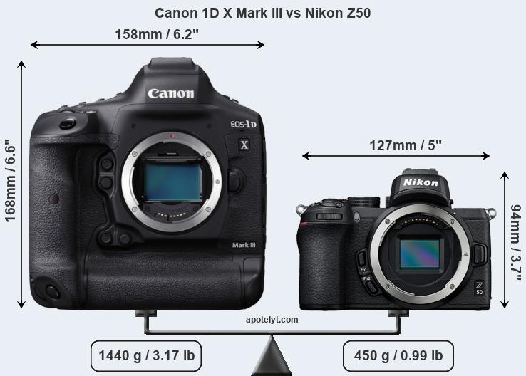 Size Canon 1D X Mark III vs Nikon Z50