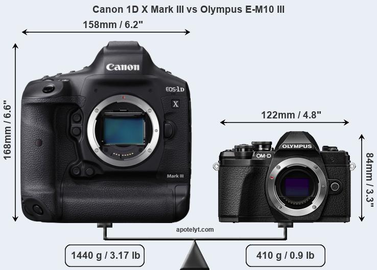 Size Canon 1D X Mark III vs Olympus E-M10 III