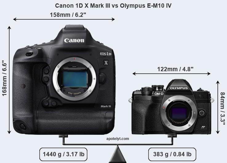 Size Canon 1D X Mark III vs Olympus E-M10 IV