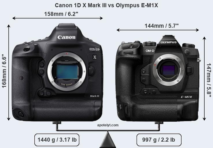 Size Canon 1D X Mark III vs Olympus E-M1X