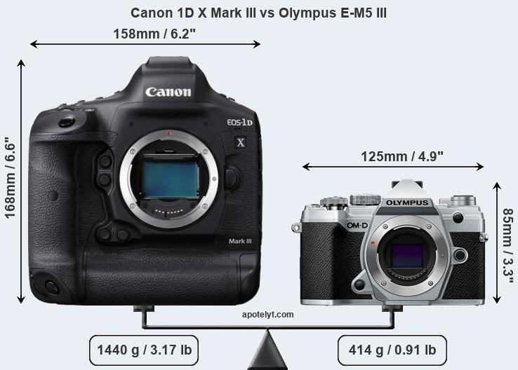 Size Canon 1D X Mark III vs Olympus E-M5 III
