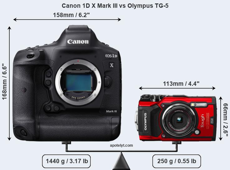 Size Canon 1D X Mark III vs Olympus TG-5