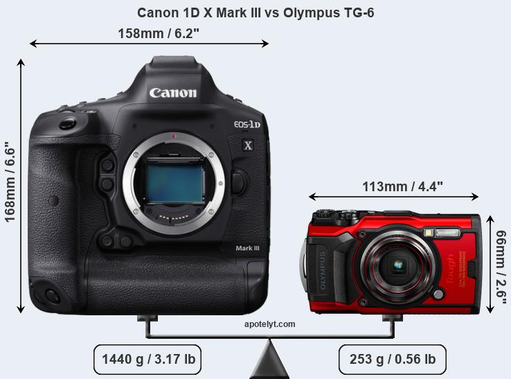 Size Canon 1D X Mark III vs Olympus TG-6