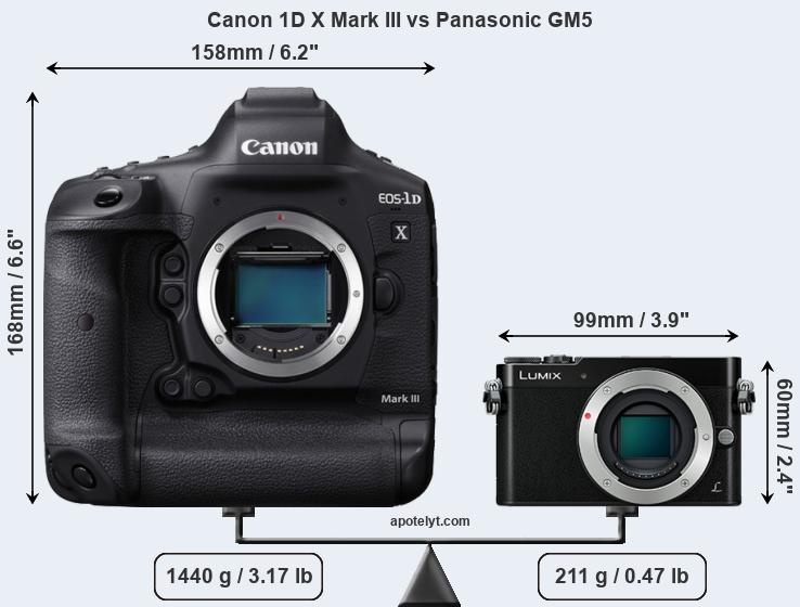Size Canon 1D X Mark III vs Panasonic GM5