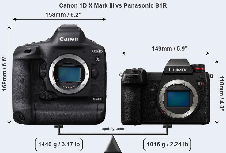Size Canon 1D X Mark III vs Panasonic S1R