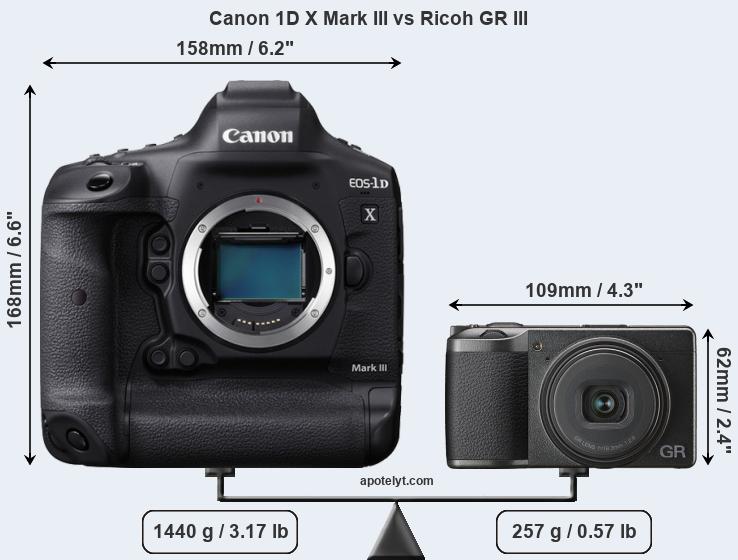 Size Canon 1D X Mark III vs Ricoh GR III
