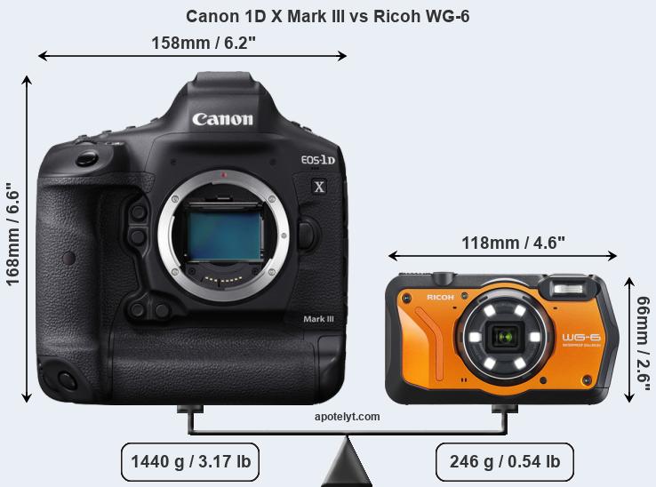 Size Canon 1D X Mark III vs Ricoh WG-6