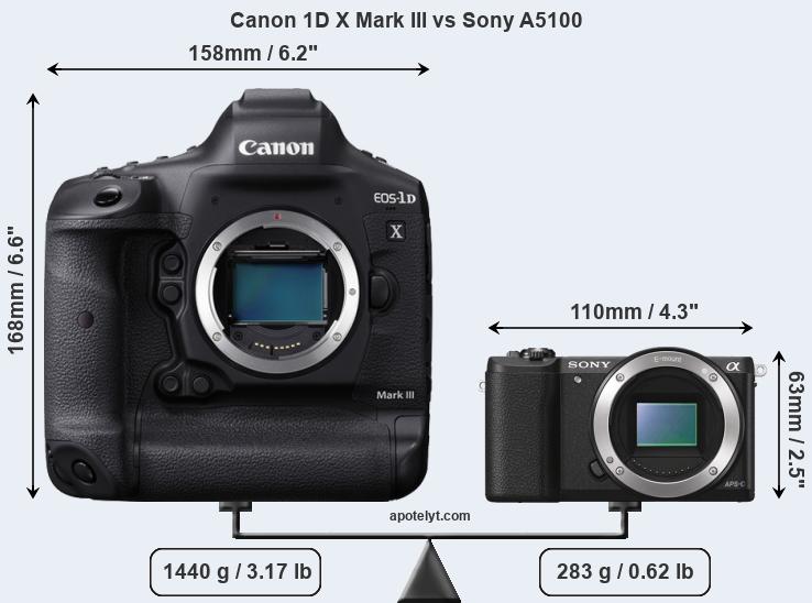 Size Canon 1D X Mark III vs Sony A5100