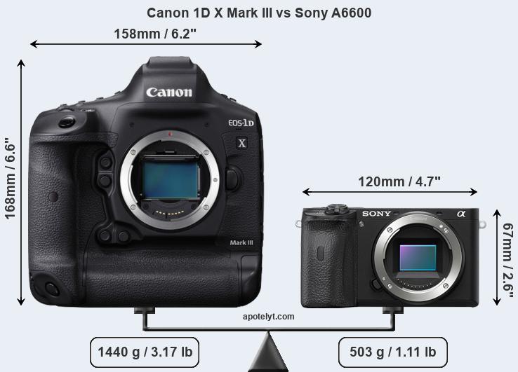 Size Canon 1D X Mark III vs Sony A6600