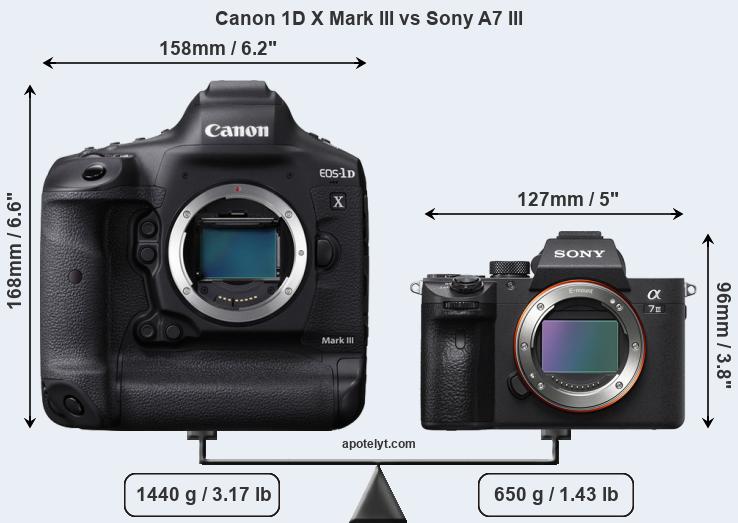 Size Canon 1D X Mark III vs Sony A7 III