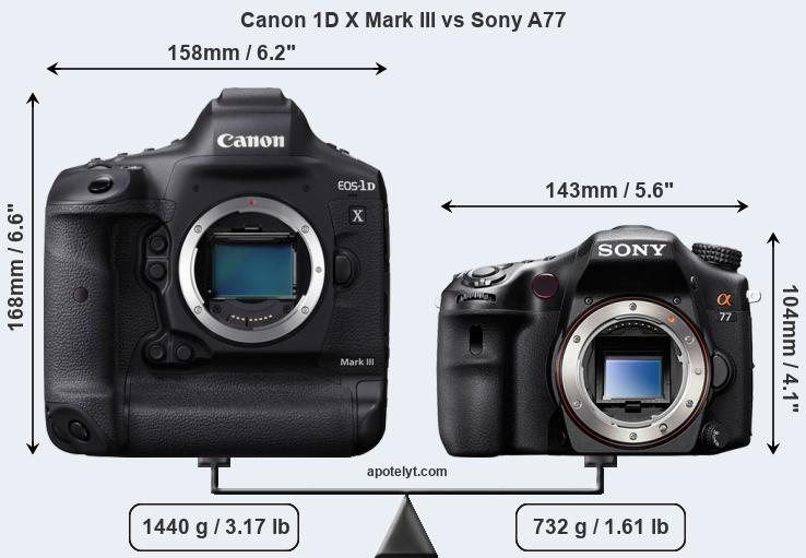 Size Canon 1D X Mark III vs Sony A77