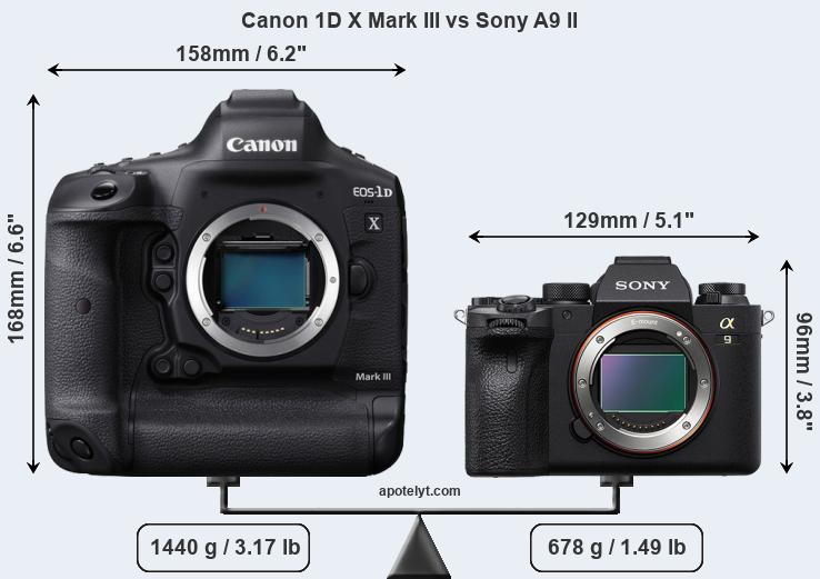 Size Canon 1D X Mark III vs Sony A9 II