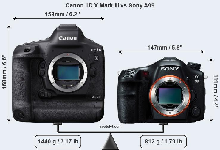 Size Canon 1D X Mark III vs Sony A99