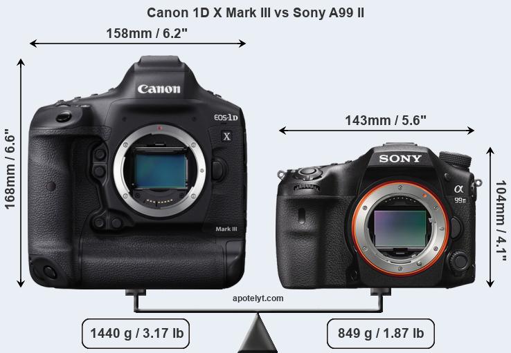 Size Canon 1D X Mark III vs Sony A99 II
