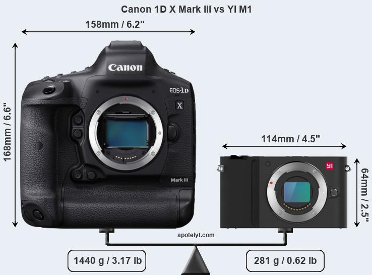 Size Canon 1D X Mark III vs YI M1