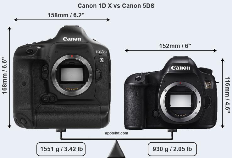 Size Canon 1D X vs Canon 5DS