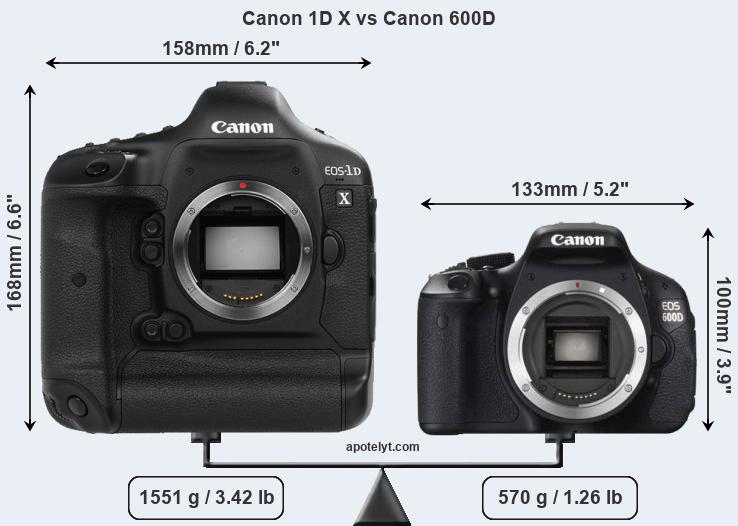 Size Canon 1D X vs Canon 600D