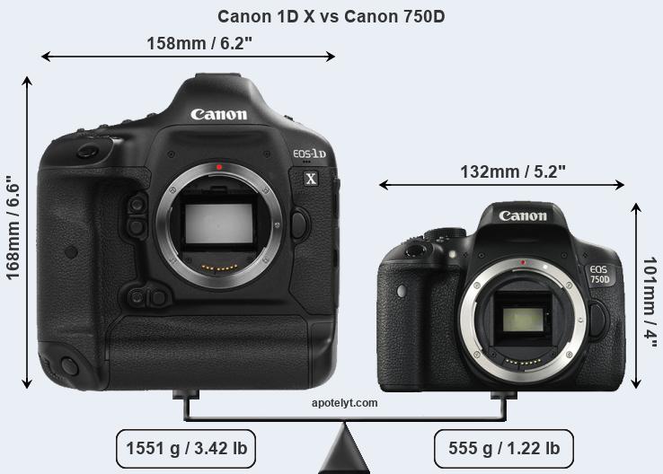 Size Canon 1D X vs Canon 750D