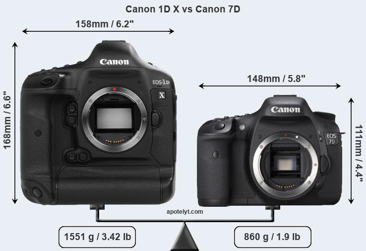 Size Canon 1D X vs Canon 7D