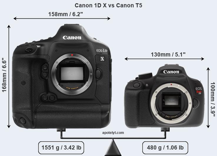 Size Canon 1D X vs Canon T5