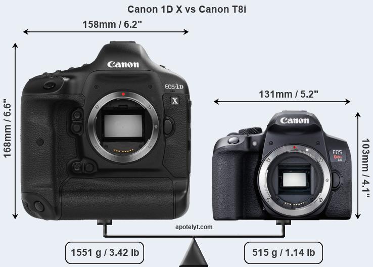 Size Canon 1D X vs Canon T8i