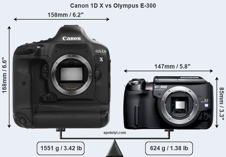 Size Canon 1D X vs Olympus E-300