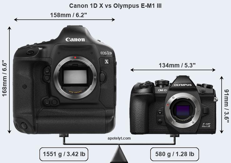 Size Canon 1D X vs Olympus E-M1 III