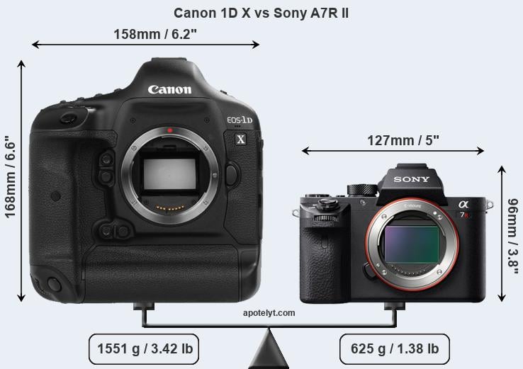 Size Canon 1D X vs Sony A7R II