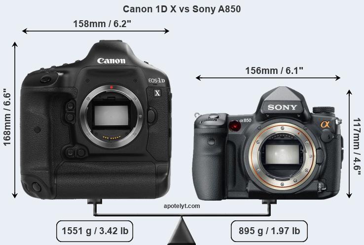 Size Canon 1D X vs Sony A850