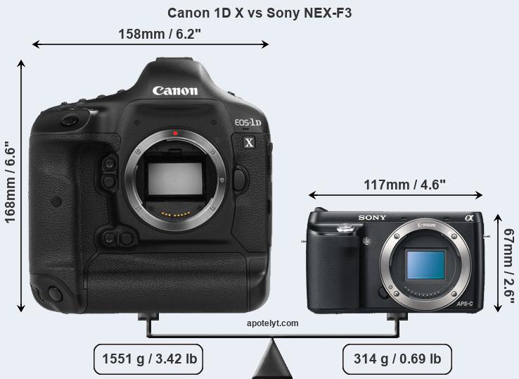 Size Canon 1D X vs Sony NEX-F3