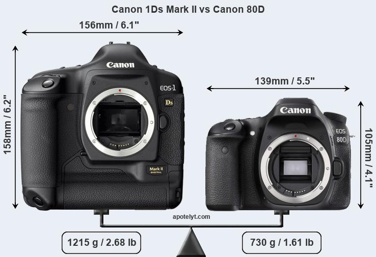 Size Canon 1Ds Mark II vs Canon 80D