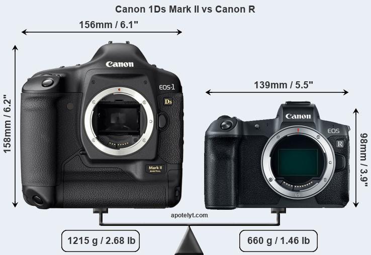 Size Canon 1Ds Mark II vs Canon R