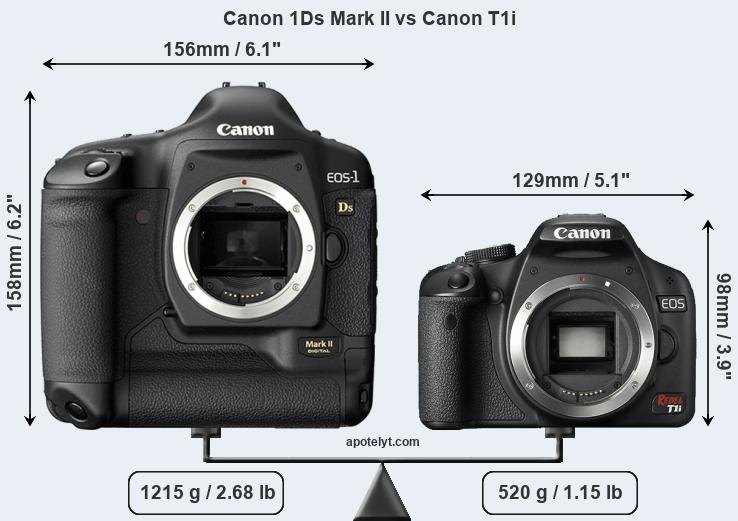 Size Canon 1Ds Mark II vs Canon T1i
