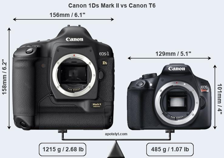 Size Canon 1Ds Mark II vs Canon T6