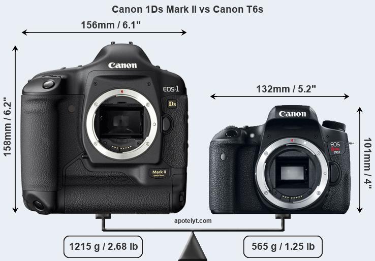 Size Canon 1Ds Mark II vs Canon T6s