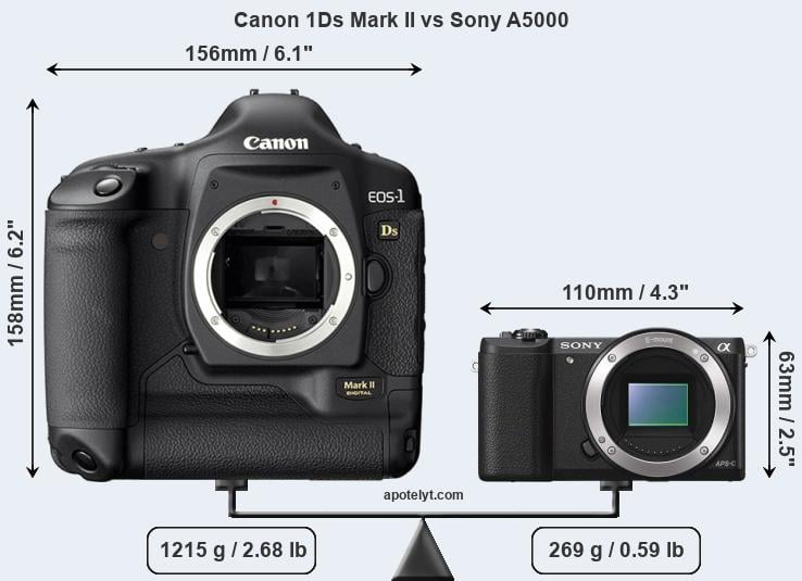 Size Canon 1Ds Mark II vs Sony A5000