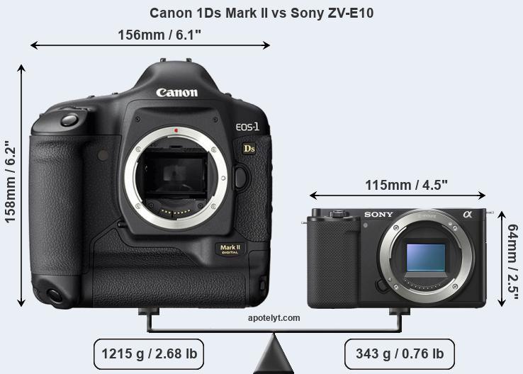 Size Canon 1Ds Mark II vs Sony ZV-E10