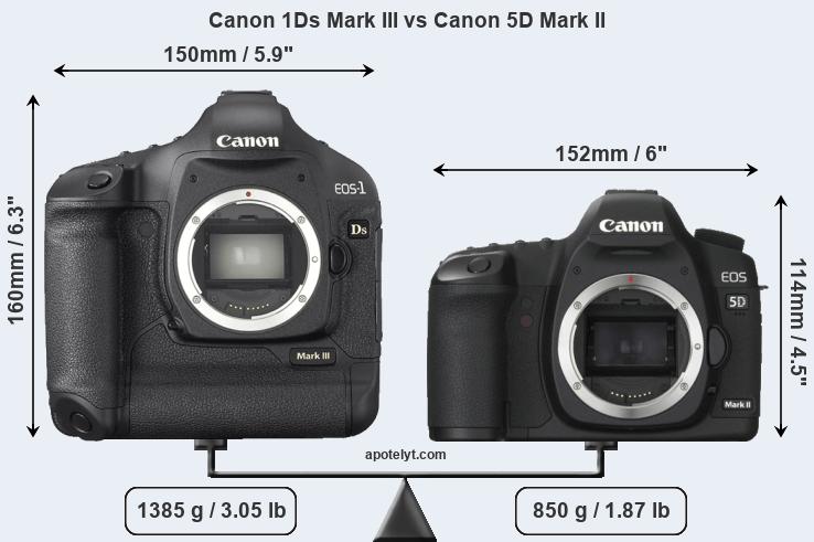 Size Canon 1Ds Mark III vs Canon 5D Mark II